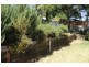 119 Nasmyth Street, Young NSW 2594