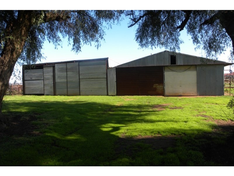 3967 Murringo Road, Young NSW 2594
