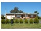 3967 Murringo Road, Young NSW 2594