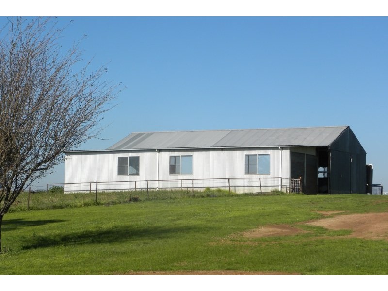 3967 Murringo Road, Young NSW 2594