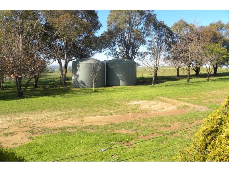 3967 Murringo Road, Young NSW 2594