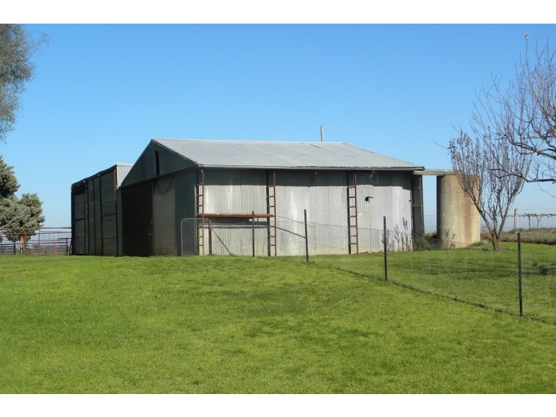 3967 Murringo Road, Young NSW 2594