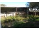 3967 Murringo Road, Young NSW 2594