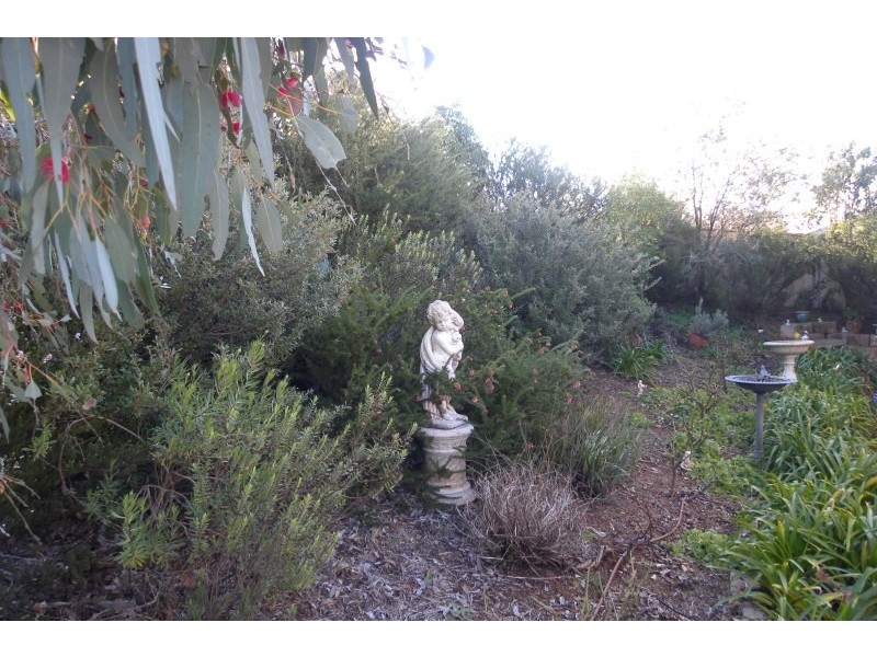 39 Petticoat Lane, Young NSW 2594