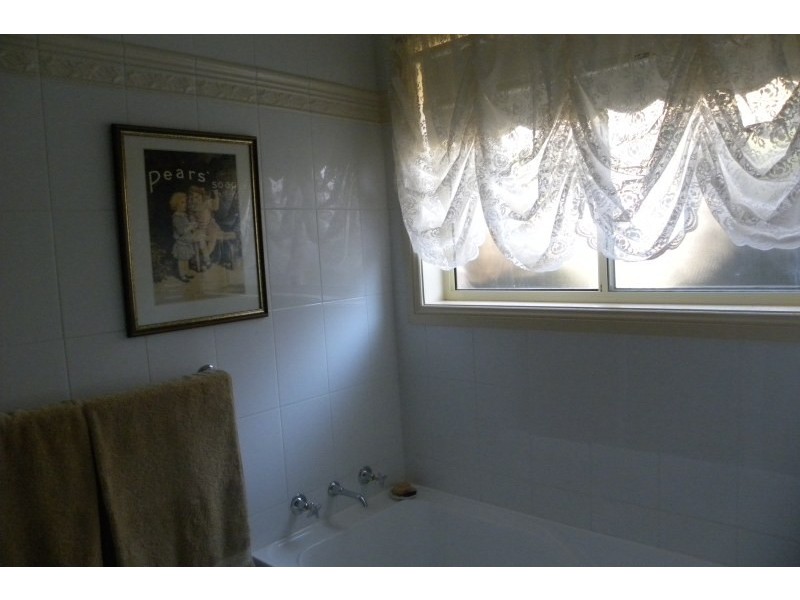 39 Petticoat Lane, Young NSW 2594