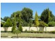 49 Wombat Street, Young NSW 2594