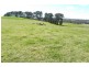 11/185 Spring Creek Road, Young NSW 2594