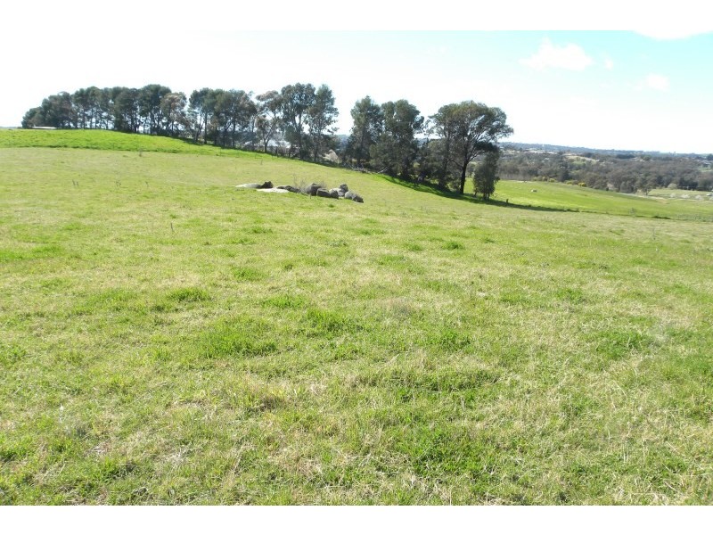 11/185 Spring Creek Road, Young NSW 2594