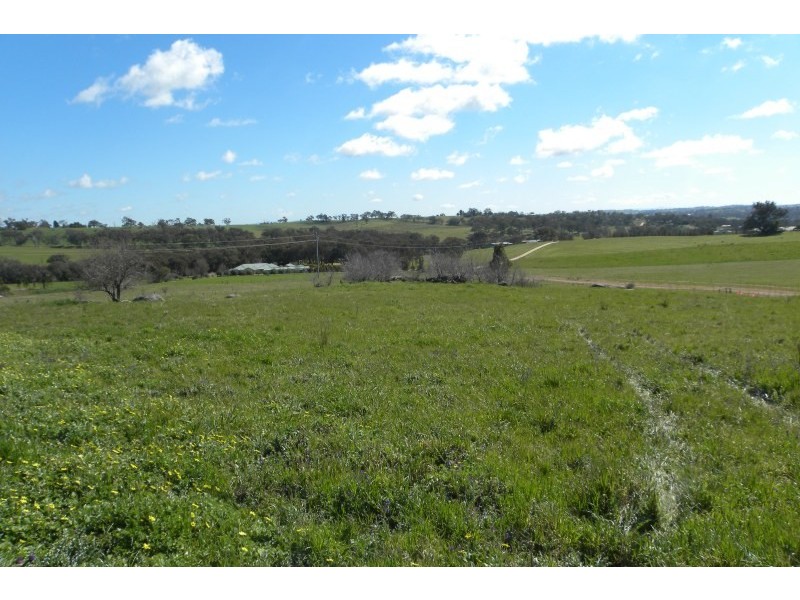 13/185 Spring Creek Road, Young NSW 2594