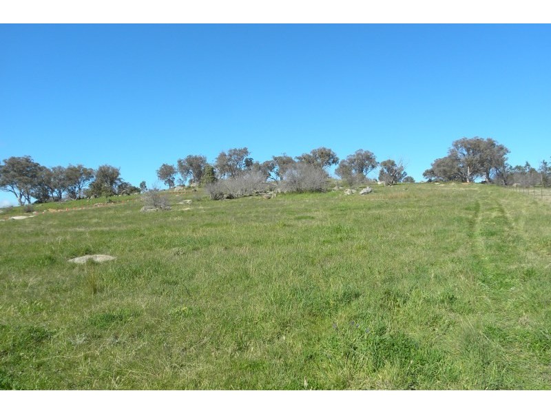 13/185 Spring Creek Road, Young NSW 2594