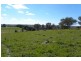 13/185 Spring Creek Road, Young NSW 2594