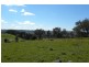 13/185 Spring Creek Road, Young NSW 2594