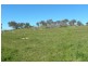 13/185 Spring Creek Road, Young NSW 2594