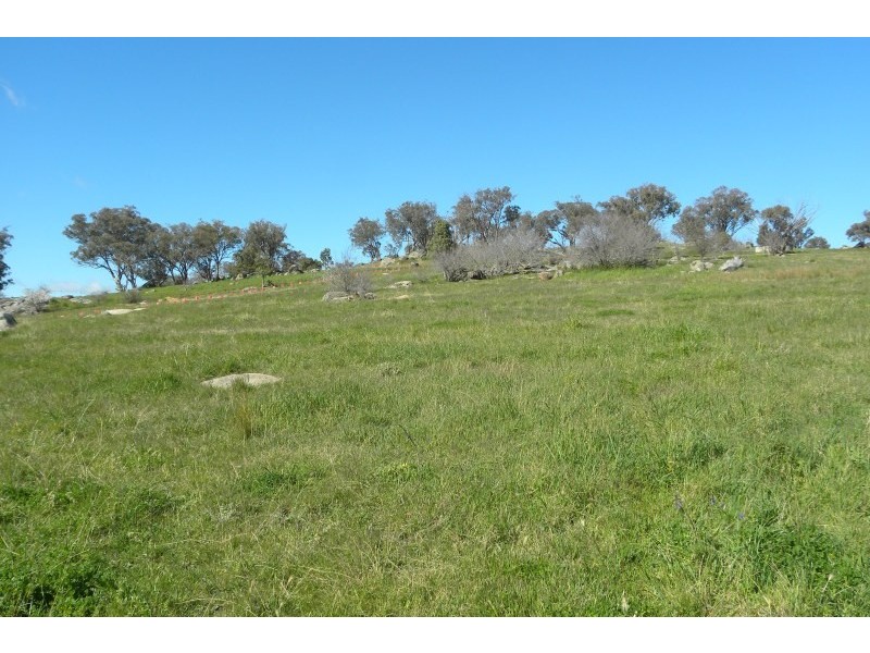 13/185 Spring Creek Road, Young NSW 2594