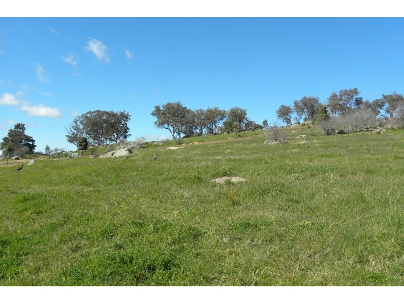 13/185 Spring Creek Road, Young NSW 2594