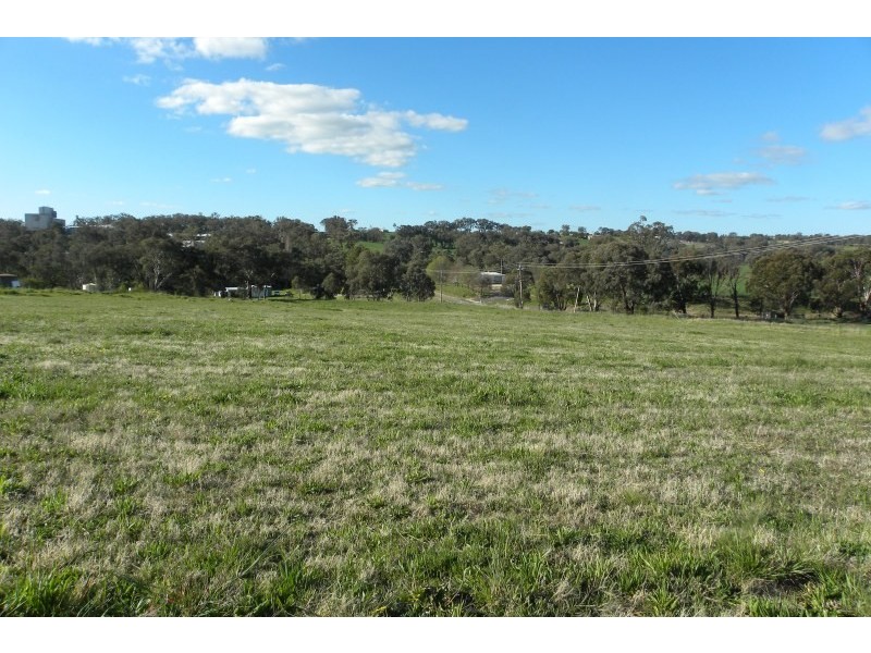 105 Bourkes Lane, Young NSW 2594