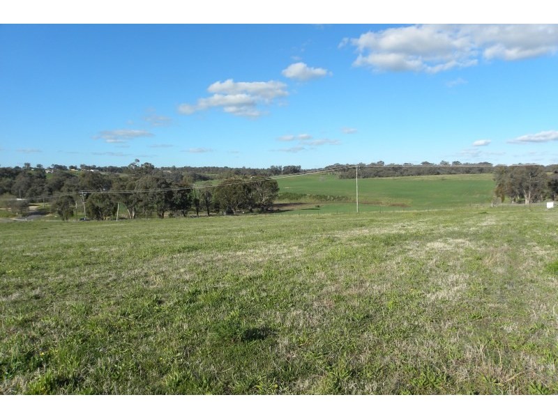 105 Bourkes Lane, Young NSW 2594