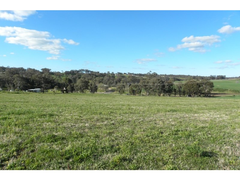 105 Bourkes Lane, Young NSW 2594