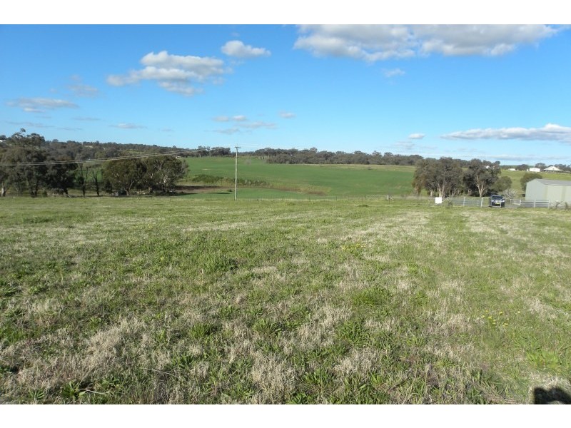 105 Bourkes Lane, Young NSW 2594