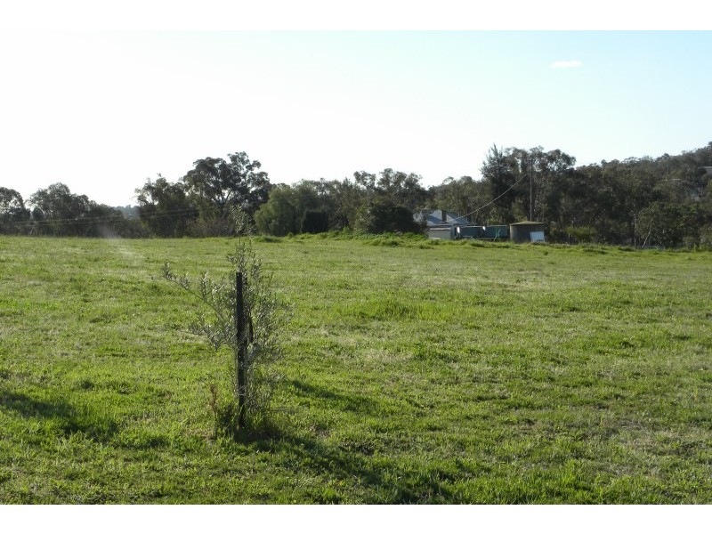 105 Bourkes Lane, Young NSW 2594