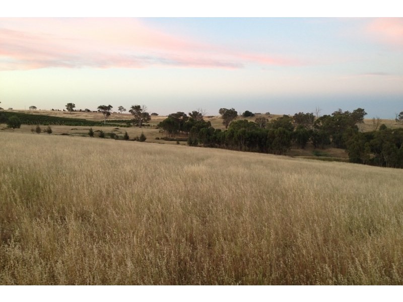 31 Levetts Road, Young NSW 2594