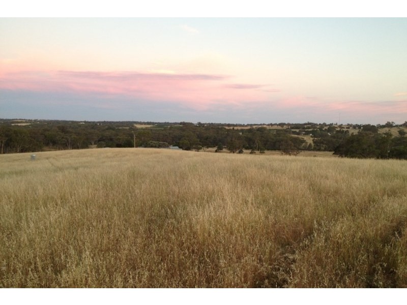 31 Levetts Road, Young NSW 2594