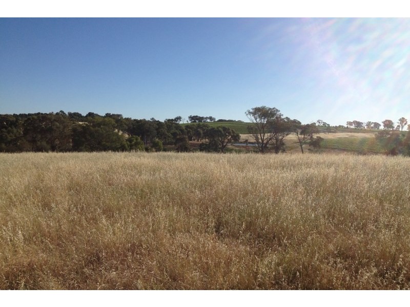 31 Levetts Road, Young NSW 2594