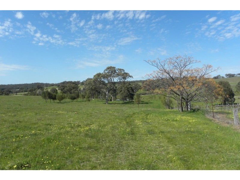 31 Levetts Road, Young NSW 2594