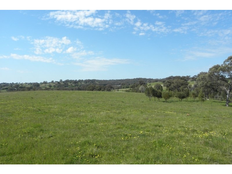 31 Levetts Road, Young NSW 2594