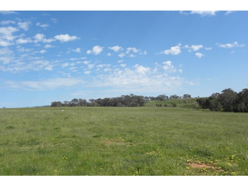 31 Levetts Road, Young NSW 2594