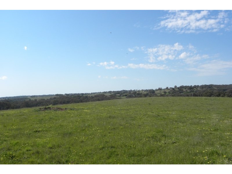 31 Levetts Road, Young NSW 2594