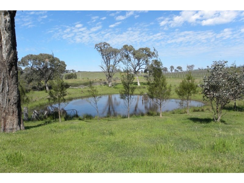 31 Levetts Road, Young NSW 2594