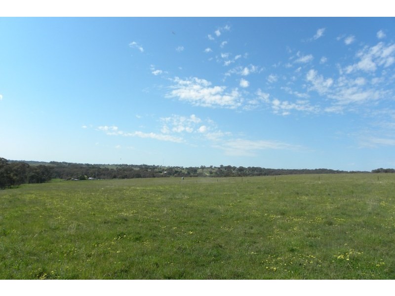 31 Levetts Road, Young NSW 2594