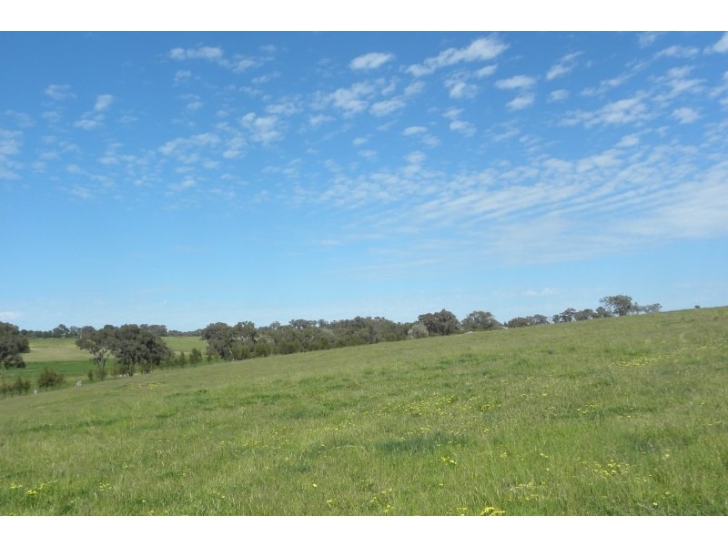 31 Levetts Road, Young NSW 2594