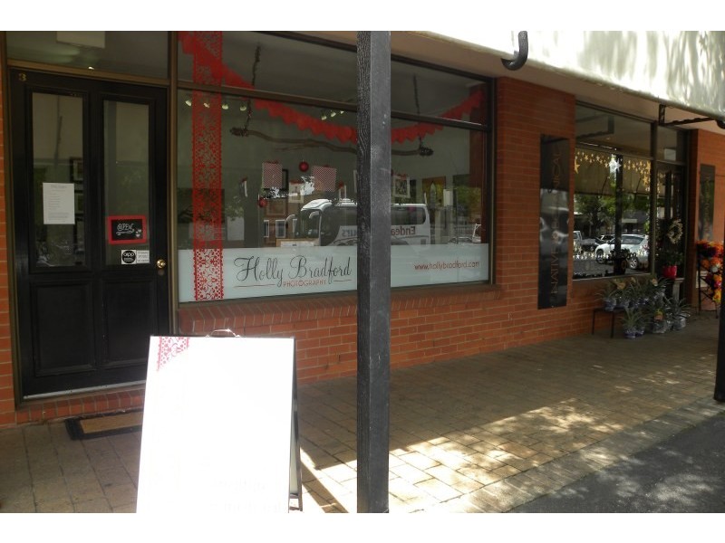 3/48 Lynch Street, Young NSW 2594