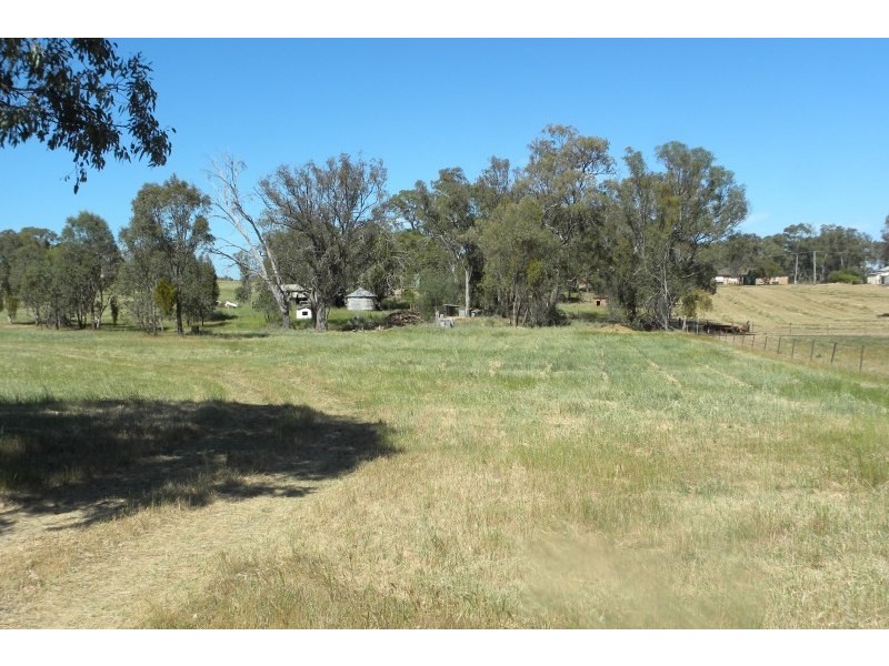 313 Victoria Street, Young NSW 2594