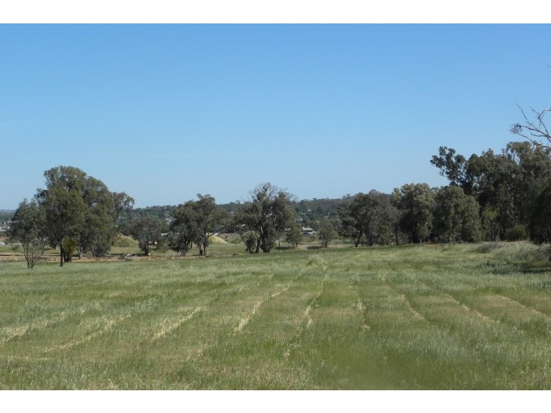 313 Victoria Street, Young NSW 2594