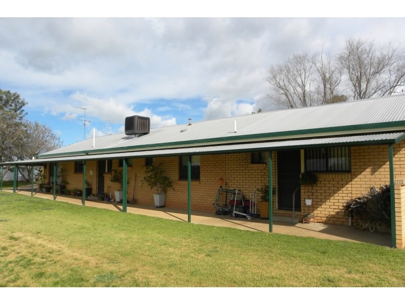 151 Willawong Street, Young NSW 2594