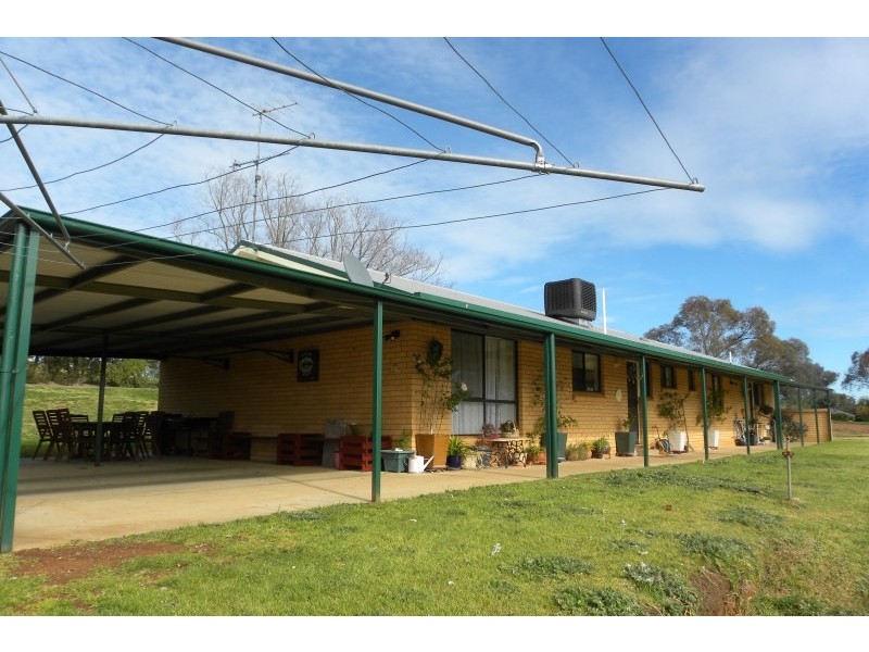 151 Willawong Street, Young NSW 2594