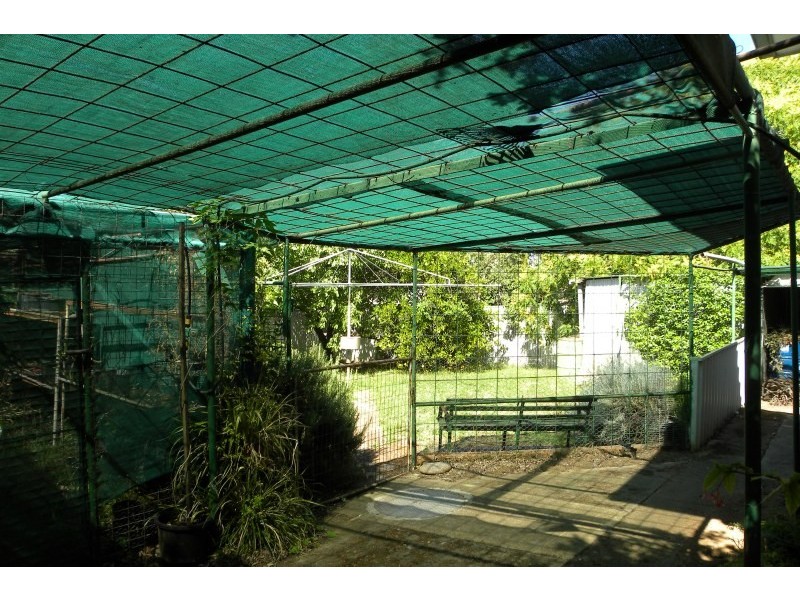 4 Musgrave Street, Young NSW 2594