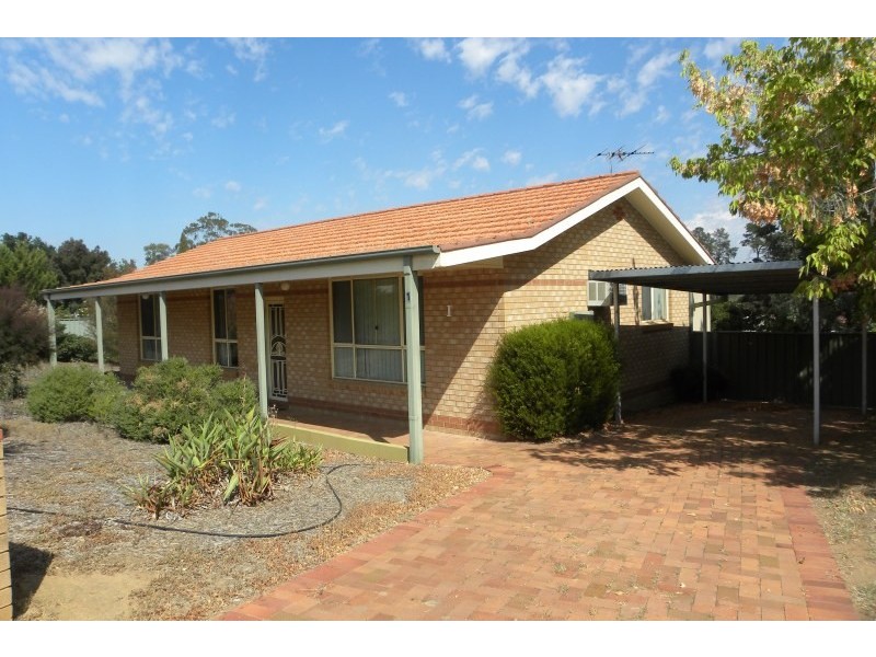 1 Pineview Circuit, Young NSW 2594