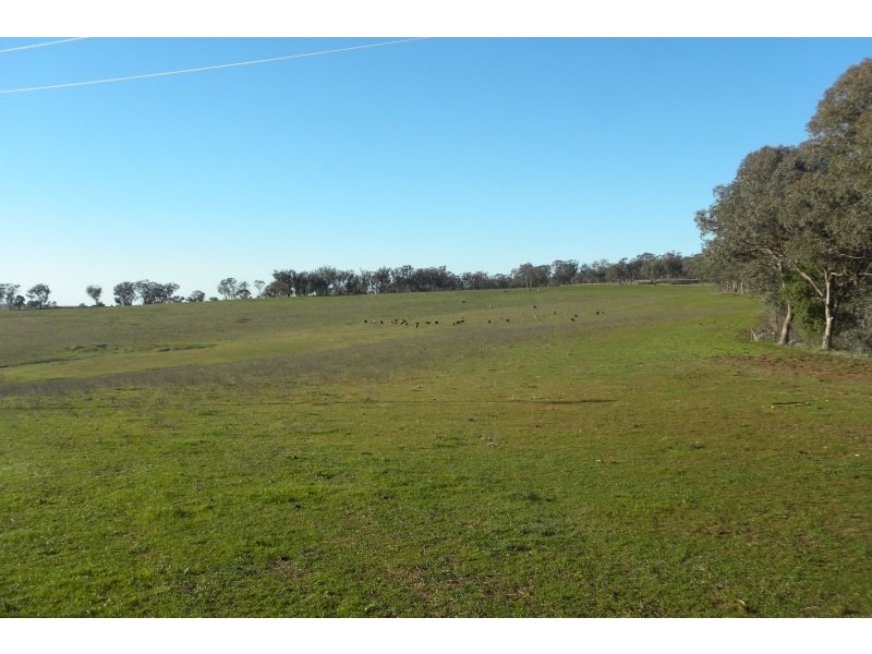 1058 Kingsvale Road, Young NSW 2594