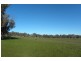 1058 Kingsvale Road, Young NSW 2594