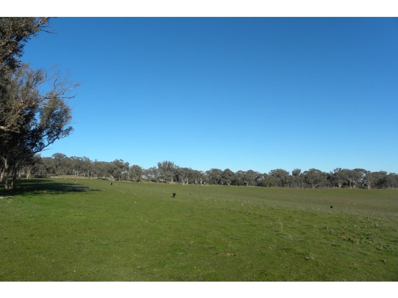 1058 Kingsvale Road, Young NSW 2594