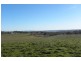1058 Kingsvale Road, Young NSW 2594