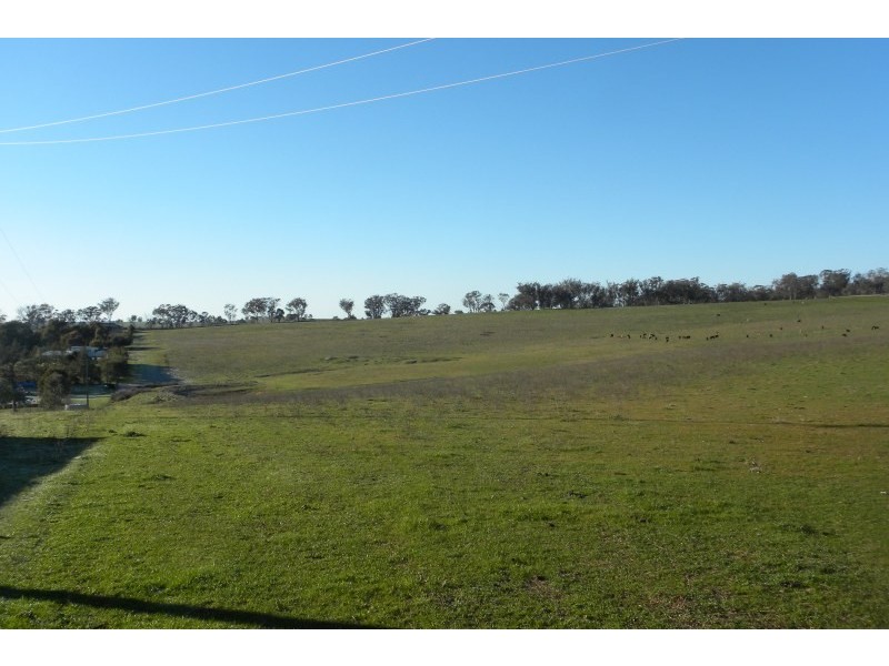 1058 Kingsvale Road, Young NSW 2594
