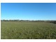 1058 Kingsvale Road, Young NSW 2594