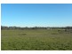 1058 Kingsvale Road, Young NSW 2594