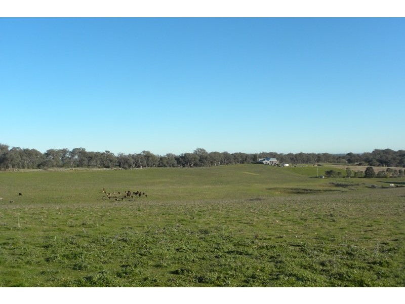 1058 Kingsvale Road, Young NSW 2594