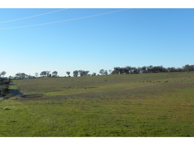 1058 Kingsvale Road, Young NSW 2594